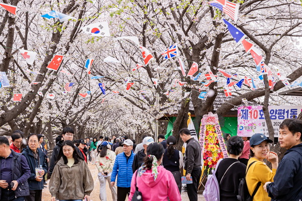 지난 해 양평1동 벚꽃축제 현장(사진 = 영등포구)