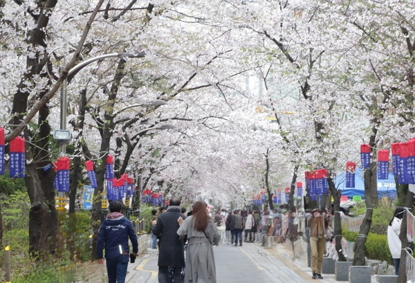 2023년 신길6동 벚꽃축제 현장(사진 = 영등포구)